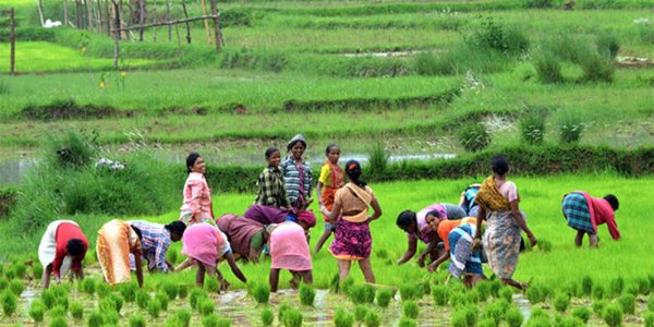 30-per-cent-of-funds-in-agriculture-schemes-being-earmarked-for-women-government